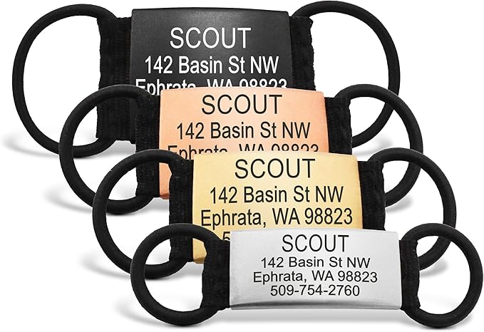 GoTags Quiet Slide On Pet ID Tags for Dogs and Cats, Silent Jingle Free Personalized Engraved Custom Stainless Steel Name Tags, Small Medium Large and 4 Color Options, Fits Most Collar Types