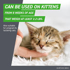 FRONTLINE Plus Flea and Tick Treatment for Cats Over 1.5 lbs. 6 Treatments