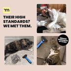 MalsiPree Cat Shedding Brush - 2 in 1 Deshedding Tool & Undercoat Rake for Dense Double-Coats - Dematting Comb - Deshedding Brush for Cats - Pet Hair Removal Tool (Blue) - Dog Grooming Supplies