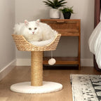 Harry Barker Cat Scratcher, Replacement Scratchers, Sisal Scratching Posts, Scratching Post with Bed