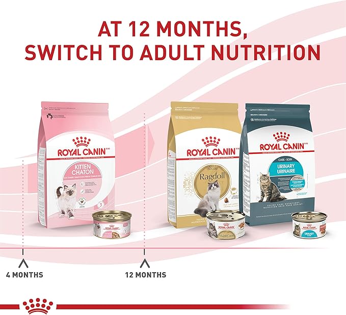 Royal Canin Feline Health Nutrition Kitten Thin Slices in Gravy Cat Food, 3 oz (Pack of 12)