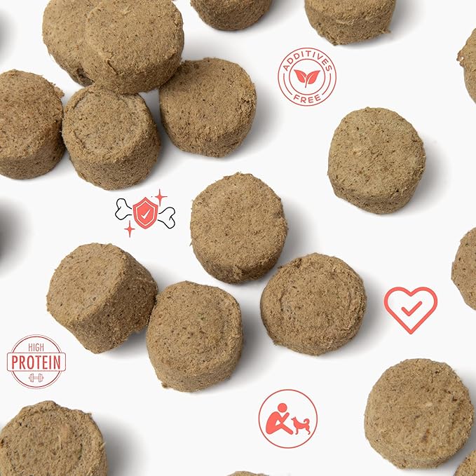 Visionary Pet Foods Beef Freeze Dried Dog Treats - 310x Medallions Keto and Diabetic Friendly - Additive Free, Made in USA Low Carb, High Protein - Healthy Dog Training Treats, Resealable Bag