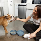 The Slowdown Bowl Silicone Slow Feeder for Dogs & Puppies, Slow Eating, Modern Lick Mat Design, Reduces Gulping, Fits 2 Cups 7.5” Across x 1.5” Tall, Mealtime Challenge, Medium-Blush