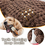 Plush Indestructible Durable Tough Dog Toys for Small Dogs, Interactive Dog Toys for Small Medium Large Dog Breeds (Raccoon)