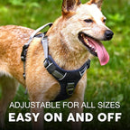 Embark Adventure Dog Harness, Reflective Trim No Pull Dog Harness Medium Sized - Military Grade Nylon, Front Clip with Gel Lined Handle. Soft & Padded Puppy Harnesses for Any Breed