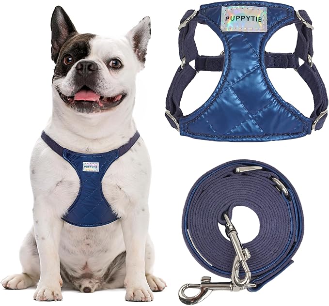 Puppytie No Pull Small Dog Harness with Multifunction Dog Leash,Lightweight Soft Adjustable No Choke Escape Proof Pet Harness Vest Pet Harness Vest,Glossy Sapphire Blue,S