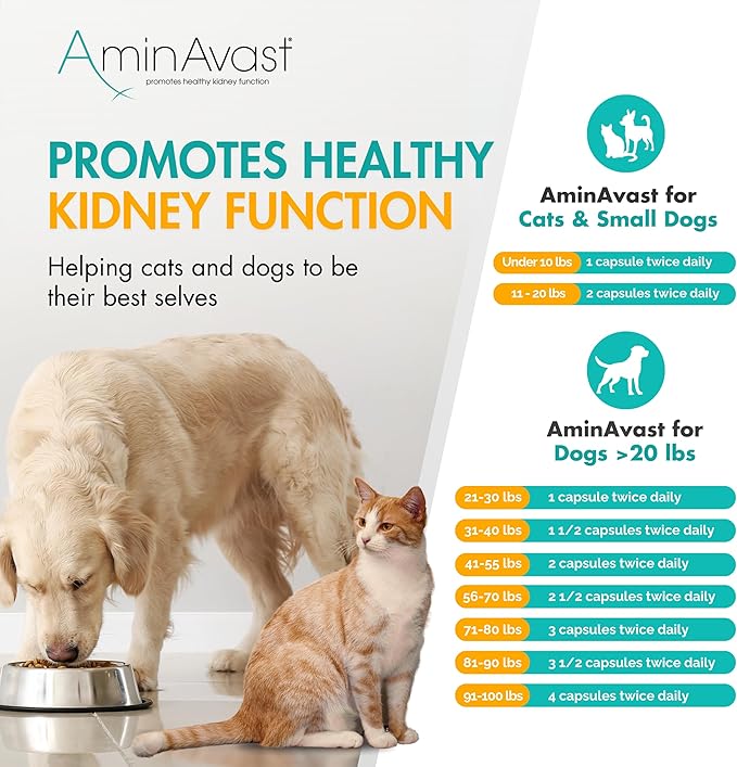 AminAvast Kidney Support Supplement for Cats and Small Dogs, 300mg 3-Pack - Promotes Natural Kidney Function - Aids in Health and Vitality of Aging Kidneys - Easily Administered - 60 Sprinkle Capsules