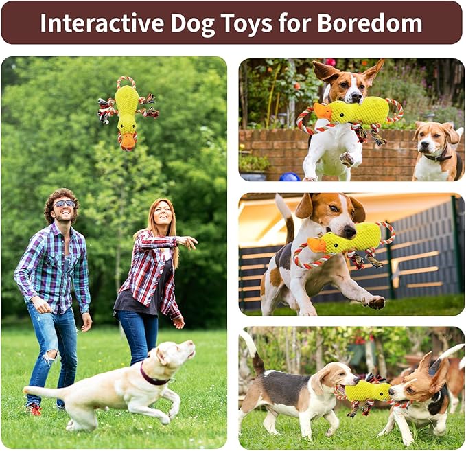 Tug of War Dog Toy, Squeaky Dog Toys Interactive Duck Puppy Toys to Keep Them Busy