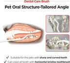 JAYU PET Dental Care Brush (Soft Bristles) 1ea - Dog Toothbrush, Cat Toothbrush, Dental Care for Kitten and Small Dogs, Removing Old Plaque and Tartar, Cat Teeth Brushing & Easy Cleaning