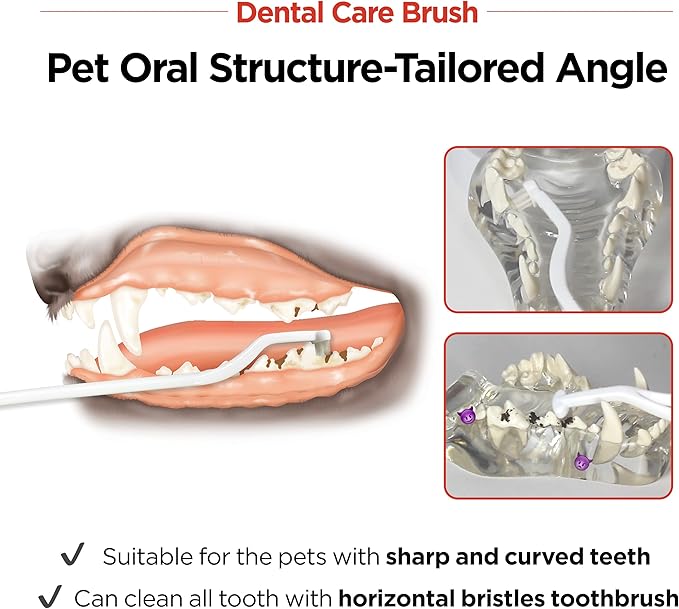 JAYU PET Dental Care Brush (Soft Bristles) 3ea - Dog Toothbrush, Cat Toothbrush, Dental Care for Kitten and Small Dogs, Removing Old Plaque and Tartar, Cat Teeth Brushing & Easy Cleaning