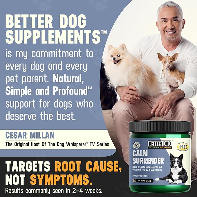 Better Dog Supplements Calm Surrender by Cesar Millan – Natural Dog Calming Powder for Stress, Anxiety, Grooming, Travel & Thunderstorms – Catnip, Chamomile & Valerian – 4oz, (60-Day Supply)