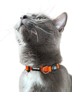Travel Cat Breakaway Cat Collar - Orange Adjustable Cute Katty Collar with Quick Release Safety Buckle for Boy and Girl - Nylon 8-13 inch Length Kitten Collar with Metal D-Ring, Machine Washable