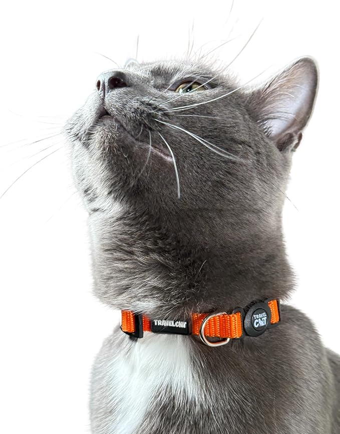 Travel Cat Breakaway Cat Collar - Orange Adjustable Cute Katty Collar with Quick Release Safety Buckle for Boy and Girl - Nylon 8-13 inch Length Kitten Collar with Metal D-Ring, Machine Washable