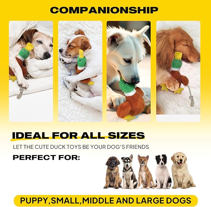 Fida Duck Dog Toys for Aggressive Chewers, Squeaky Dog Rope Toys to Keep Them Busy, Intactive Tug of War Plush Duck with Natural Cotton Rope for Puppy Small Medium and Large Breeds