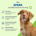 Pet Wellbeing Spark Daily Nutritional Greens Superfood for Dogs & Cats - Probiotics, Prebiotics, Digestive Enzymes, Amino Acids, Antioxidants, Vitamin D, Spirulina - Vet-Formulated 3.53 oz (100 g)