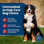 Blue Buffalo Life Protection Formula Adult Dry Dog Food, Helps Build and Maintain Strong Muscles, Made with Natural Ingredients, Beef & Brown Rice Recipe, 15-lb. Bag
