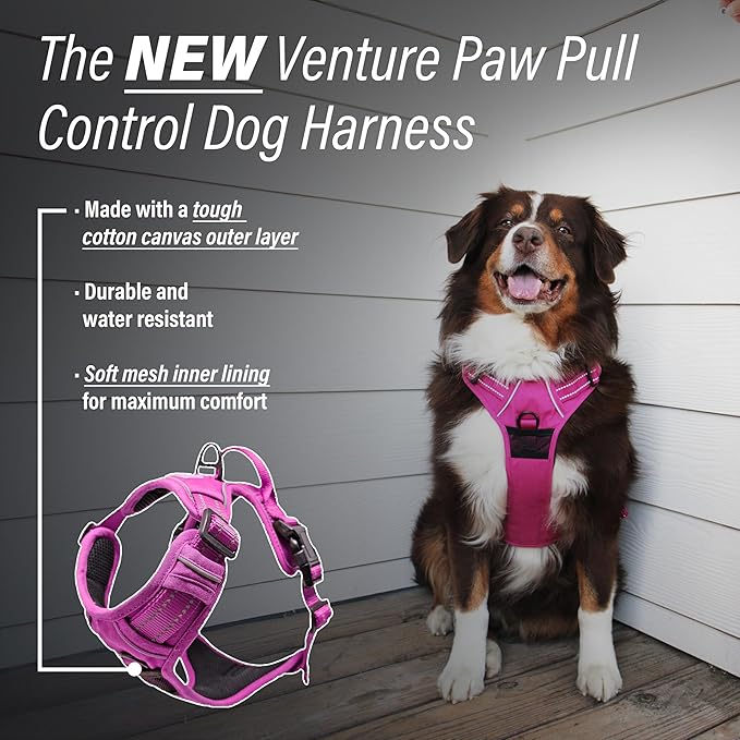 Doggie Design Venture Paw No Pull Dog Harness - Simple Adjustable Puppy Harness - Anti Pull Dog Collar for Walks and Outdoor Adventures - Wild Raspberry, XL