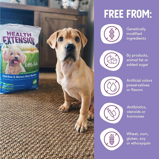 Health Extension Little Bites Dry Dog Food for Small Breeds, Chicken & Brown Rice Recipe, with Probiotics & Superfoods for Digestion & Coat Health, 30 lb Bag (Pack of 1)