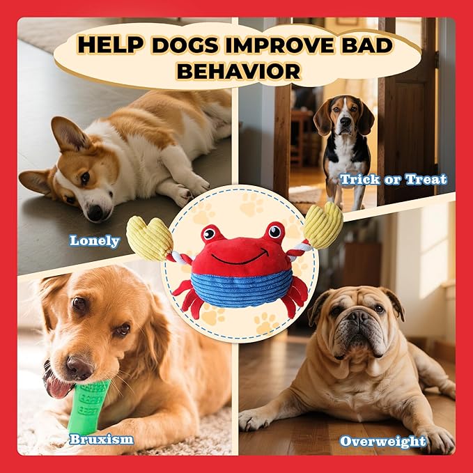 Squeak Plush Dog Toys for Small & Medium Breeds, Chew Resistant Rope to Keep Them Busy for Puppy Teething Chewing, Interactive Indoor/Outdoor Play, Best Pet Gift, Crab