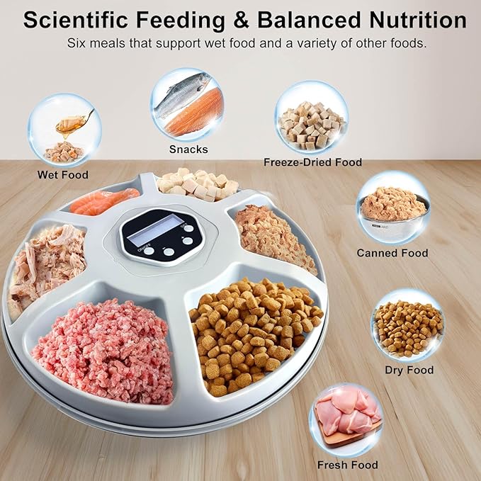 Automatic Cat Feeder Wet&Dry Food, 6 Meal Timed Pet Dispenser Easily Programmable &Easy to Clean,with 2 Ice Packs Auto Feeder for Cats/Small Dogs