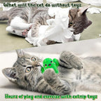 MALLMALL6 Catnip Toys for Cat - 5Pcs Cactus Prickly Plants Catmint Interactive Kitten Toy for Indoor Cats, Cute Soft Green Pet Supplies for Kitty Lover Gifts, Kitten Teething Chew Presents Set