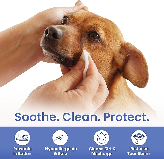 AKC Pet Eye Wipes for Dogs & Cats – Tear Stain Remover & Eye Discharge Cleaner – Hypoallergenic Grooming Wipes, 100 Count (Coconut Scent) AKC 3 * 3" PET Eye Wipes Coconut Scent 100 Count
