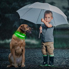 Multi-Color Light up Dog Collar, YFbrite USB Rechargeable LED Puppy Collar Super Bright Adjustable Glowing Dog Lights for Night Walking (Multi-Color, Large)