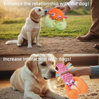 5 Pack Dog Squeaky Toys Bulk Set,Puppy Teething Chew Pet Dog Toy for Large Medium Small Dogs,Soft Plush Stuffed Crinkle Sound Interactive Fun for Puppy