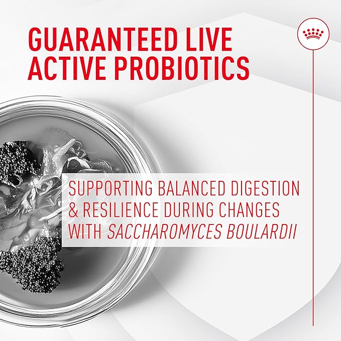 Royal Canin Probiotics for Cats Digestive and Immune Health Powder Supplement for Cats of All Ages, 30 Count (Pack of 3)