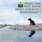 Calming Treats for Dogs with Organic Hemp Oil, Tryptophan, Chamomile, Passion Flower & Valerian - Stress & Anxiety Relief for Separation, Travel, Fireworks, Storms and Barking - 120 Soft Chews..