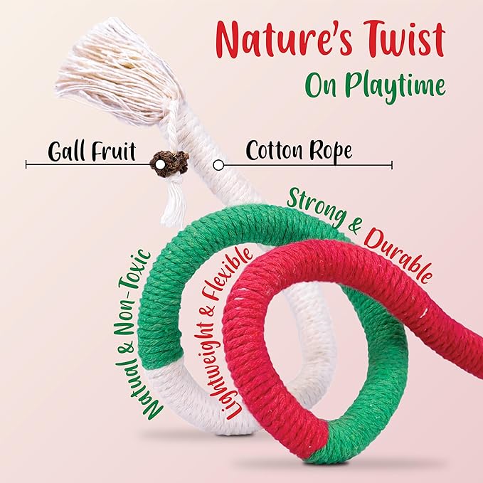 6 PCS Cat Chew Ropes & Silvervine Sticks, Cat Chew Toy Gale Fruit & Raffia for Stress and Anxiety Relief, Enrichment and Play, Kitten Teething Toys, Transfer Chewing from Wires to Cotton Rope