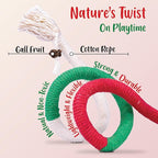 6 PCS Cat Chew Ropes & Silvervine Sticks, Cat Chew Toy Gale Fruit & Raffia for Stress and Anxiety Relief, Enrichment and Play, Kitten Teething Toys, Transfer Chewing from Wires to Cotton Rope