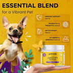 Turkey Tail Mushroom for Dogs - Dog Vitamins and Supplements - Prebiotics & Probiotics for Longevity, Immune Support & Digestion - with Chlorella, Dandelion Root, Vitamin E & More- 5.3 Oz