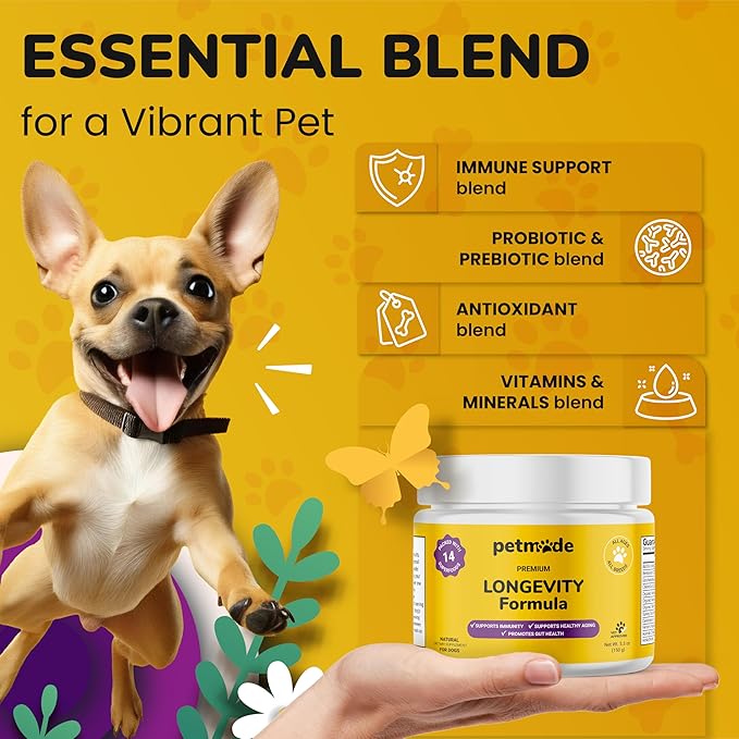 Turkey Tail Mushroom for Dogs - Dog Vitamins and Supplements - Prebiotics & Probiotics for Longevity, Immune Support & Digestion - with Chlorella, Dandelion Root, Vitamin E & More- 5.3 Oz
