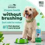 TropiClean Fresh Breath Water Additive for Dogs, Dog Breath Freshener & Teeth Cleaning Solution, No Toothpaste or Toothbrush Required, 33.8oz, 3 Pack