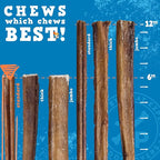 Jack&Pup 6-inch Bully Sticks for Dogs (7 Pack) All Natural Dog Chews Long Lasting, Dog Chews for Medium Chewers