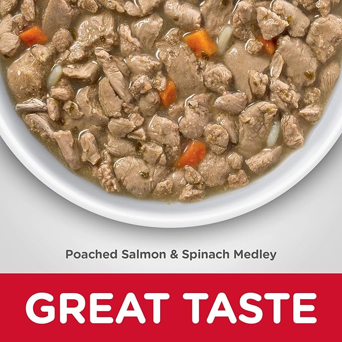 Hill's Science Diet Healthy Cuisine, Adult 1-6, Great Taste, Wet Cat Food, Pached Salmon & Spinach Stew, 2.8 oz Can, Case of 24