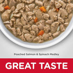 Hill's Science Diet Healthy Cuisine, Adult 1-6, Great Taste, Wet Cat Food, Pached Salmon & Spinach Stew, 2.8 oz Can, Case of 24