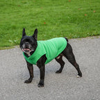 JACKO & CO - Fleece Vest Sweater with Leash Ring - Soft Lightweight Breathable for Puppies Small Medium Dogs, Kitten, Cats, Chihuahua - Warm for Fall/Autumn/Winter (Green, Large 10-16lbs)