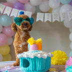 Outward Hound Hide A Birthday Cake, Plush Puzzle Birthday Themed Dog Toy