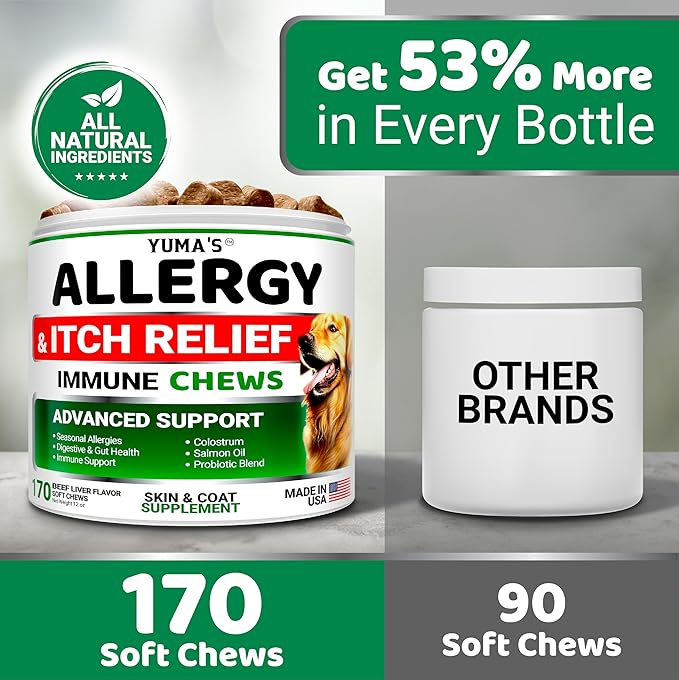 Dog Allergy Relief Chews - Dog Itching Skin Relief Treatment Pills - 170 Treats - Anti-Itch - Itchy and Paw Licking - Hot Spots - Omega 3 Fish Oil - Dry Skin & Coat Supplement - Beef Liver Flavor