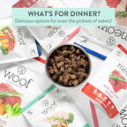 The New Zealand Natural Pet Food Co Meow Air Dried Cat Food - Beef & Hoki Recipe,High Protein Dry Cat Food, Training Treats, Meals & Toppers,3.5oz