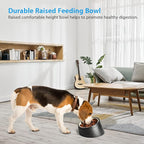 Tilted Slanted Dog Bowl 1 Cup, 15° Tilted Stainless Steel Dog Cat Food Bowl, Non-Slip & Non-Spill Pet Feeder with Elevated Detachable Melamine Stand, Easy to Get Food Dish, Medium Black