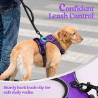 rabbitgoo Dog Harness No Pull with 2 Leash Clips, Adjustable Soft Padded, Reflective Oxford No Choke Pet Vest with Easy Control Handle for Large Dogs, Purple, XL