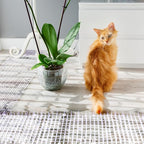 Sanwuta 2 Pcs 26.3 ft Cat Spike Mat Outdoor Cat Deterrent Mat with Spikes Prickle Strips Indoor Dog Digging Deterrent Anti Network Spikes with 10 Staples for Garden Fence(White)