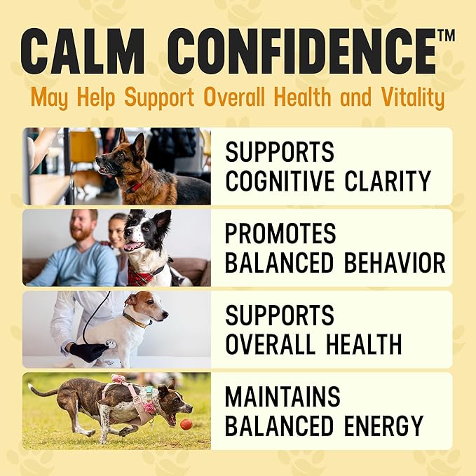 Better Dog Supplements Calm Confidence by Cesar Millan – Natural Cognitive & Brain Support for Dogs – Focus, Energy & Vitality with Ashwagandha, Panax Ginseng & Herbs – 4oz, (60-Day Supply)