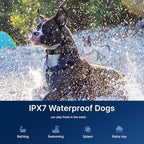 My Pet Command Long Range Dog Training Collar with Remote 1 Mile/5280 Ft Safe Shock, Vibrate, Tone collar with Flashing Beacon Lights Rechargeable Waterproof Dog collar with remote add Up to 2 Collars