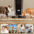 Automatic Cat Feeder,6L Timed Cat Dry Food Dispenser,Pet Feeder up to 6 Meals per Day,10S Voice Record,Flexible Schedule Timer,Auto Pet Feeder for Cats and Small Dogs (Black, 6L)