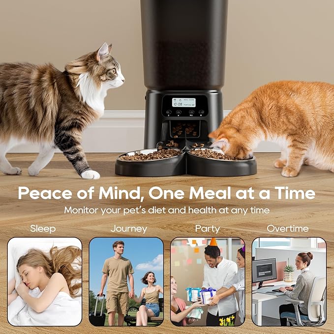 Automatic Cat Feeder,6L Timed Cat Dry Food Dispenser,Pet Feeder up to 6 Meals per Day,10S Voice Record,Flexible Schedule Timer,Auto Pet Feeder for Cats and Small Dogs (Black, 6L)