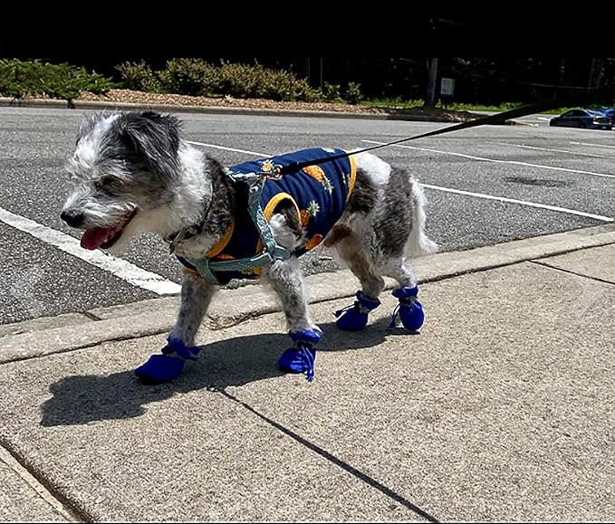 YAODHAOD Dog Shoes for Hot Pavement, Anti-Slip Sole Dog Boots & Paw Protector for Summer, Reflective Straps Dog Booties for Small Medium Dogs, Indoor Use 4PCS (Blue, Size: 7)